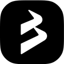 BlackBull Markets logo